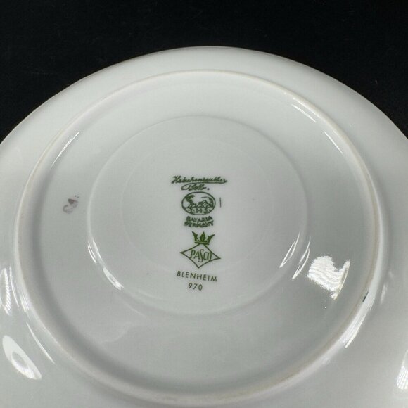 Hutschenreuther Selb Porcelain Blenheim Cup Saucer Pasco Bavaria Germany Set 2 - Picture 8 of 15